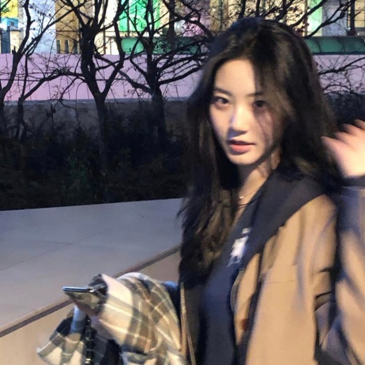亲爱的隐居先生
